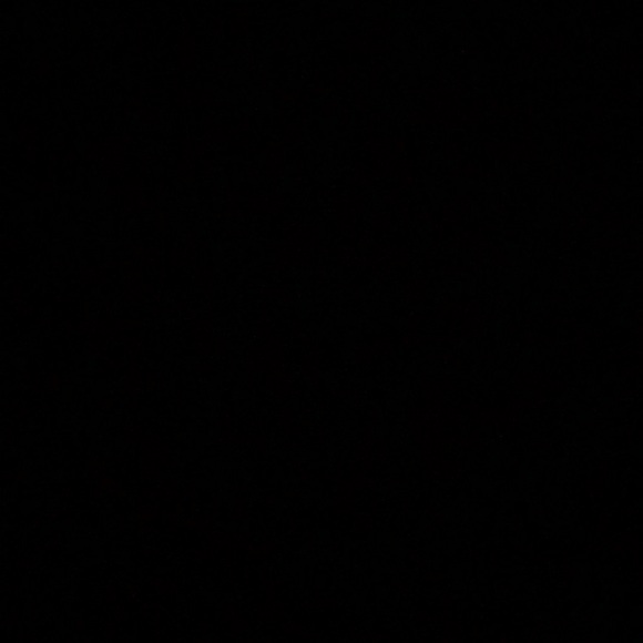 Meet your Posher, Bella - Picture 1 of 1